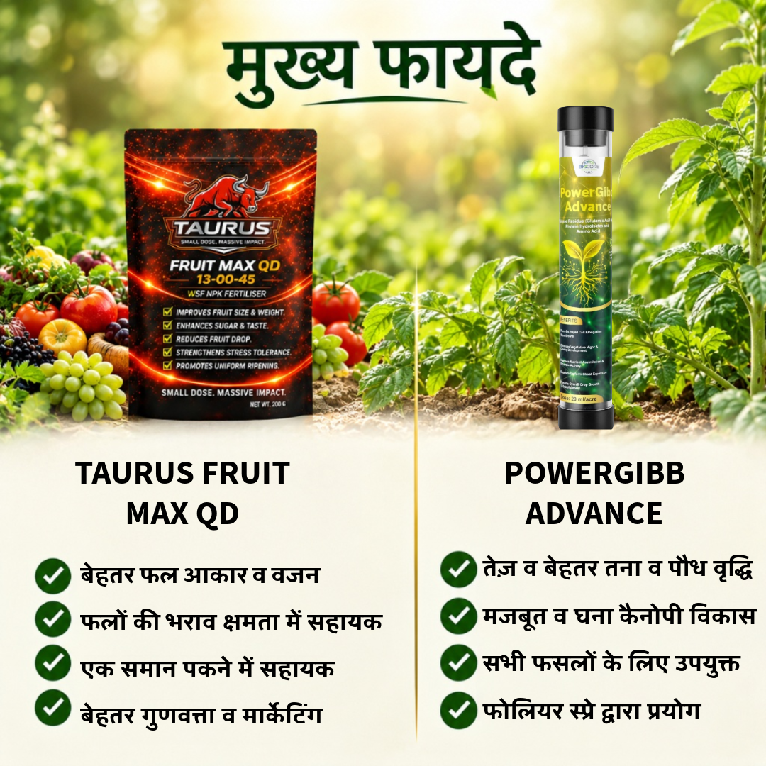 Fruit Max 13-00-45 + POWERGIBB ADVANCE Combo | High-Potassium NPK Fertilizer & Glutamic Acid 16% Plant Growth Activator | Fruit Development, Quality, Growth & Plant Vigor | All Crops