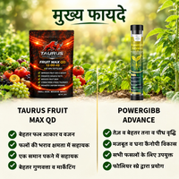 Fruit Max 13-00-45 + POWERGIBB ADVANCE Combo | High-Potassium NPK Fertilizer & Glutamic Acid 16% Plant Growth Activator | Fruit Development, Quality, Growth & Plant Vigor | All Crops