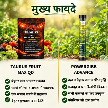 Fruit Max 13-00-45 + POWERGIBB ADVANCE Combo | High-Potassium NPK Fertilizer & Glutamic Acid 16% Plant Growth Activator | Fruit Development, Quality, Growth & Plant Vigor | All Crops