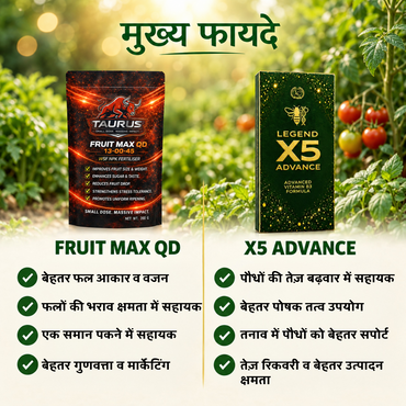 Promotional graphic showing two supplement packages side by side against a blurred garden background with tomatoes. The left package is a black Taurus Fruit Max QD bottle, and the right package is a green Legend X5 Advance box.