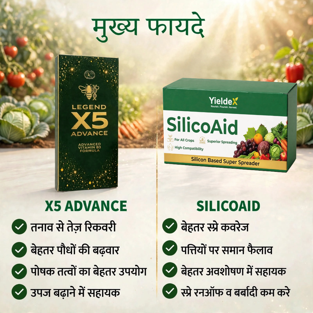 X5 Advance + SilicOaid Combo | Plant Growth Activator & Silicon-Based Super Spreader | Stress Recovery, Yield & Spray Efficiency | All Crops (Copy)