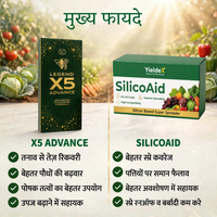 X5 Advance + SilicOaid Combo | Plant Growth Activator & Silicon-Based Super Spreader | Stress Recovery, Yield & Spray Efficiency | All Crops (Copy)