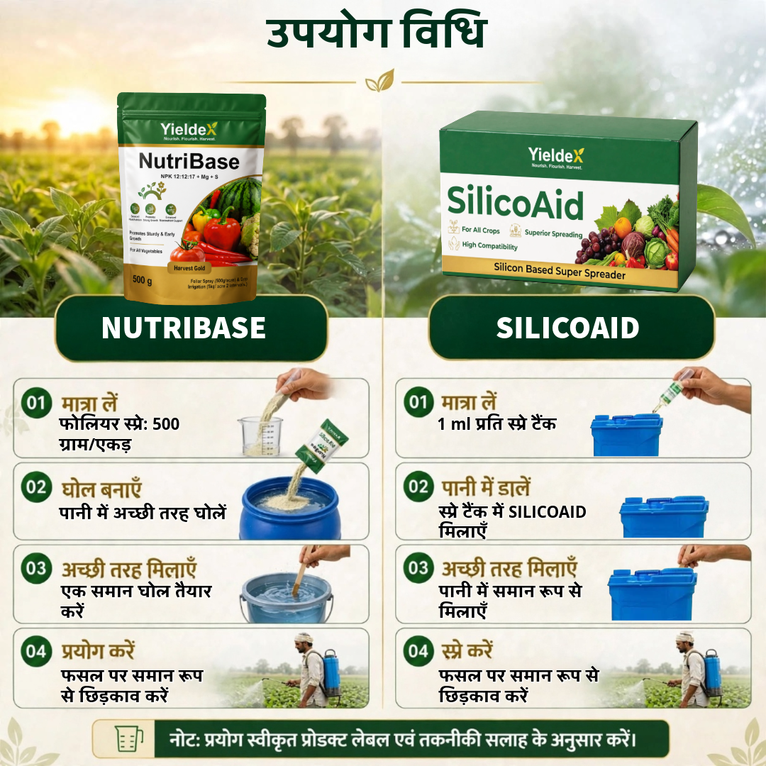 NUTRIBASE + SILICOAID Combo | NPK 12:12:17 + Mg + S Water Soluble Fertilizer & Silicon Super Spreader | Better Nutrition, Spray Coverage & Crop Growth