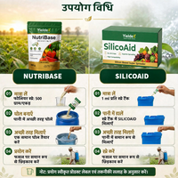 NUTRIBASE + SILICOAID Combo | NPK 12:12:17 + Mg + S Water Soluble Fertilizer & Silicon Super Spreader | Better Nutrition, Spray Coverage & Crop Growth
