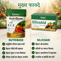 NUTRIBASE + SILICOAID Combo | NPK 12:12:17 + Mg + S Water Soluble Fertilizer & Silicon Super Spreader | Better Nutrition, Spray Coverage & Crop Growth