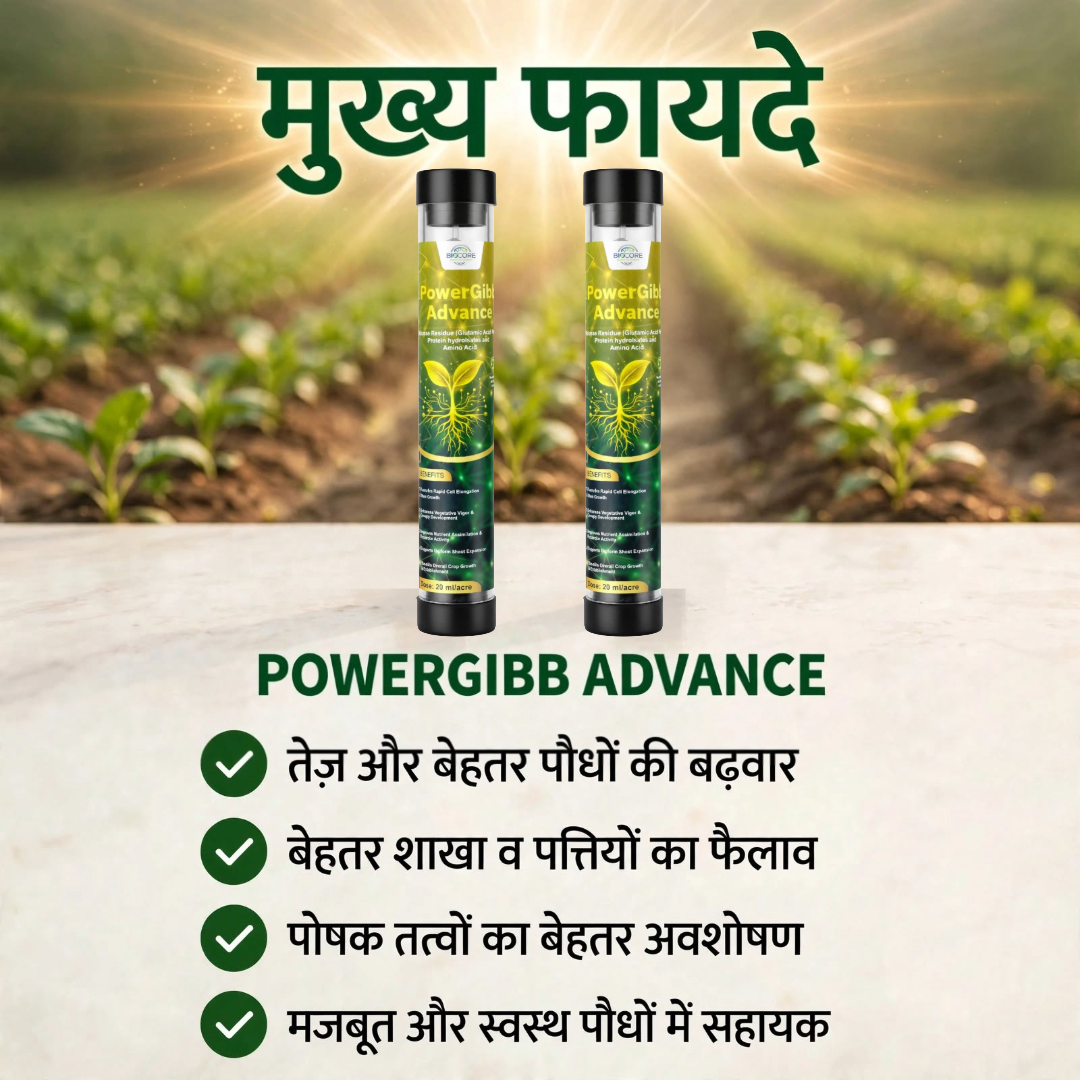 POWERGIBB ADVANCE Combo Pack of 2 | Glutamic Acid 16% Plant Growth Activator | Vegetative Growth, Plant Vigor & Nutrient Uptake | All Crops