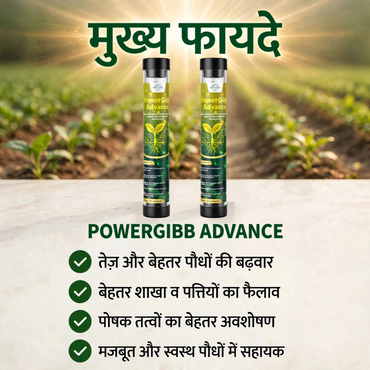 POWERGIBB ADVANCE Combo Pack of 2 | Glutamic Acid 16% Plant Growth Activator | Vegetative Growth, Plant Vigor & Nutrient Uptake | All Crops