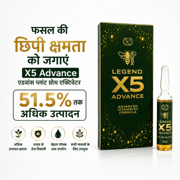 X5 Advance | Vitamin B3 (Nicotinamide) 3.25% | Biostimulant | Suitable for All Vegetables