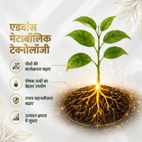 X5 एडवांस | विटामिन बी3 (निकोटिनामाइड) 3.25% | बायोस्टिमुलेंट | सभी सब्जियों के लिए उपयुक्त