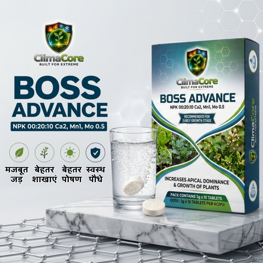 Boss Advance | NPK 00-20-10 Ca2 Mn1 Mo 0.5 | Secondary nutrient | All Crops