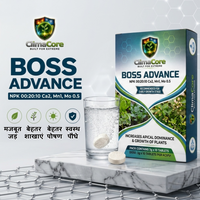 Boss Advance | NPK 00-20-10 Ca2 Mn1 Mo 0.5 | Secondary nutrient | All Crops