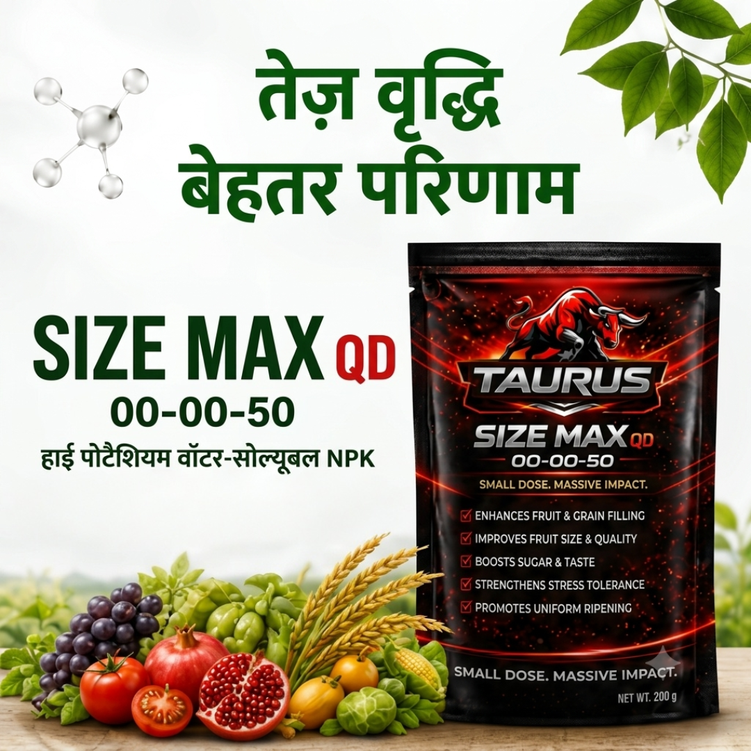 SIZE MAX QD 00-00-50 | High Potassium Water-Soluble NPK Fertilizer | Fruit, Grain Size & Quality Enhancer