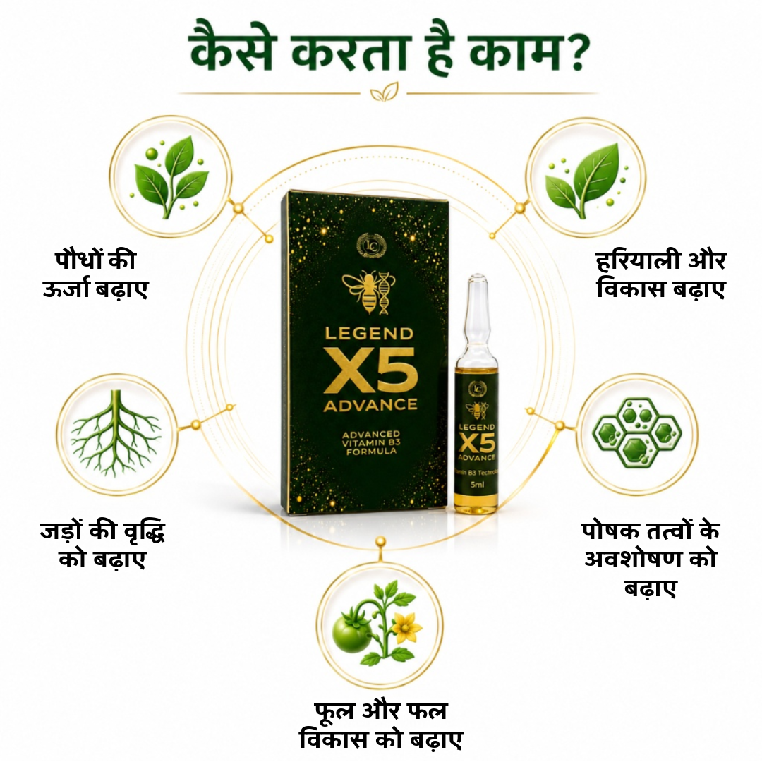 X5 Advance | Vitamin B3 (Nicotinamide) 3.25% | Biostimulant | Suitable for All Vegetables