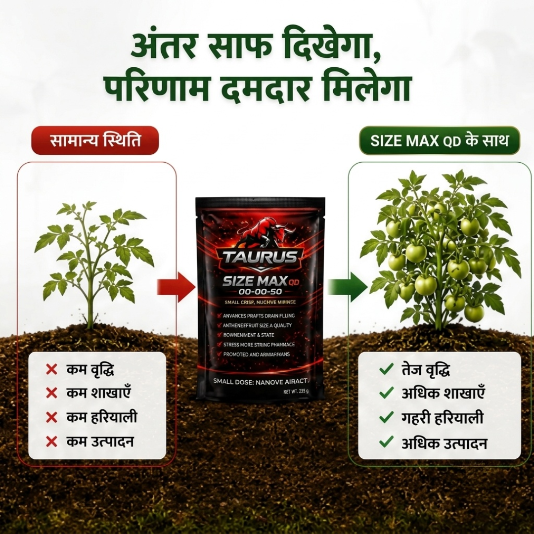 SIZE MAX QD 00-00-50 | High Potassium Water-Soluble NPK Fertilizer | Fruit, Grain Size & Quality Enhancer