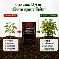 SIZE MAX QD 00-00-50 | High Potassium Water-Soluble NPK Fertilizer | Fruit, Grain Size & Quality Enhancer