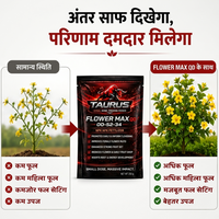 FLOWER MAX QD 00-52-34 | High Phosphorus & Potassium Water-Soluble NPK Fertilizer | Flowering & Fruit Set Booster