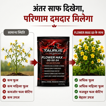 FLOWER MAX QD 00-52-34 | High Phosphorus & Potassium Water-Soluble NPK Fertilizer | Flowering & Fruit Set Booster