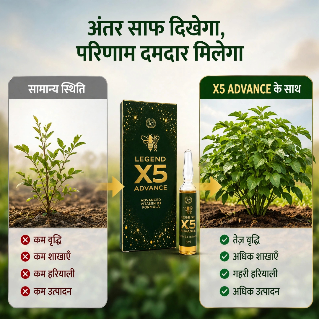 X5 Advance | Vitamin B3 (Nicotinamide) 3.25% | Biostimulant | Suitable for All Vegetables
