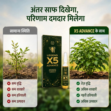 X5 Advance | Vitamin B3 (Nicotinamide) 3.25% | Biostimulant | Suitable for All Vegetables