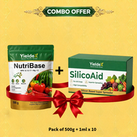 NUTRIBASE + SILICOAID Combo | NPK 12:12:17 + Mg + S Water Soluble Fertilizer & Silicon Super Spreader | Better Nutrition, Spray Coverage & Crop Growth