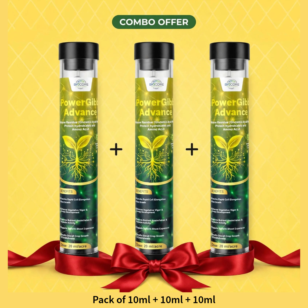 POWERGIBB ADVANCE Combo Pack of 3 | Glutamic Acid 16% Plant Growth Activator | Vegetative Growth, Plant Vigor & Nutrient Uptake | All Crops