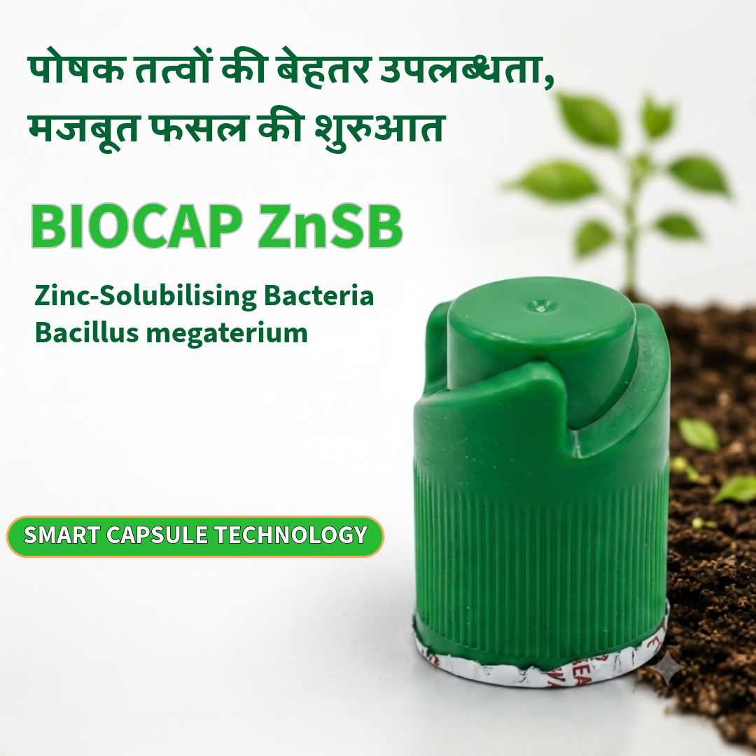 BIOCAP ZnSB | Zinc-Solubilising Bacteria | Bacillus megaterium | Smart Capsule Technology