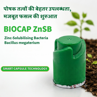 BIOCAP ZnSB | Zinc-Solubilising Bacteria | Bacillus megaterium | Smart Capsule Technology