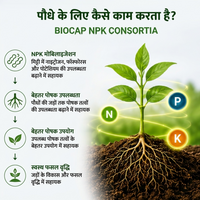 BIOCAP NPK CONSORTIA | NPK Mobilizing Biofertilizer | 100 Billion CFU/Acre | Smart Capsule Technology