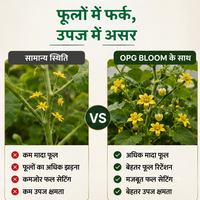 OPG Bloom | Phenolic Compounds 3% | Biostimulant | All crops