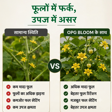 OPG Bloom | Phenolic Compounds 3% | Biostimulant | All crops
