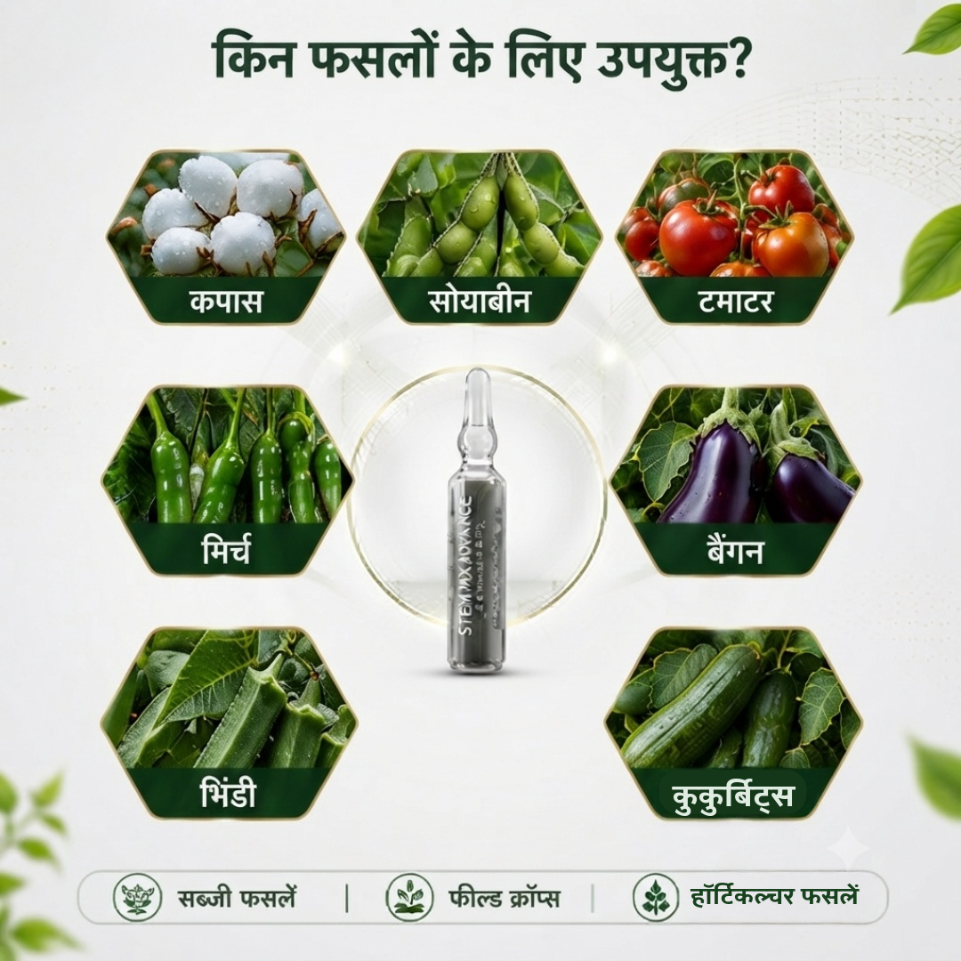 स्टेम मैक्स एडवांस | साइटोकाइनिन (मक्का के दाने) 0.2% | बायोस्टिमुलेंट | सभी सब्जियां